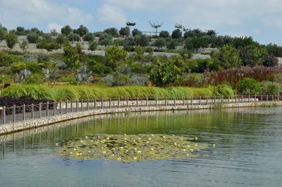 Ariel-Sharon-Park-JG.JPG