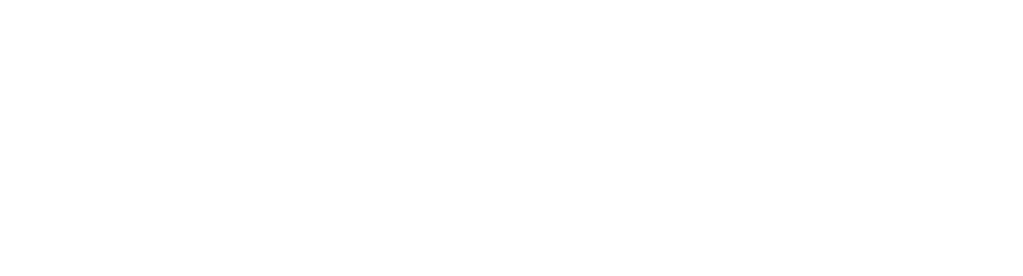 TAGLIT BIRTHRIGHT ISRAEL TAGLIT BIRTHRIGHT ISRAEL